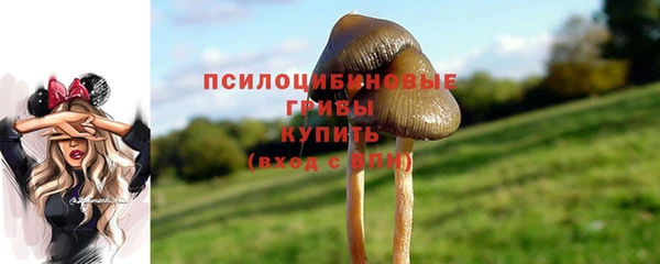 2c-b Зерноград