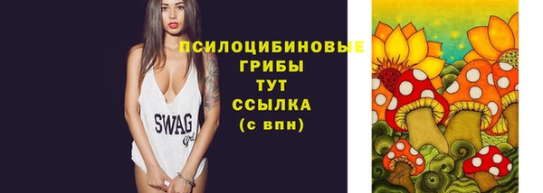 ГАЛЛЮЦИНОГЕННЫЕ ГРИБЫ Зеленодольск