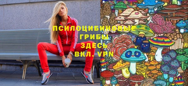 ГАЛЛЮЦИНОГЕННЫЕ ГРИБЫ Зеленодольск