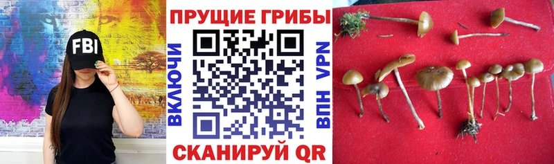 Галлюциногенные грибы ЛСД  Саяногорск 