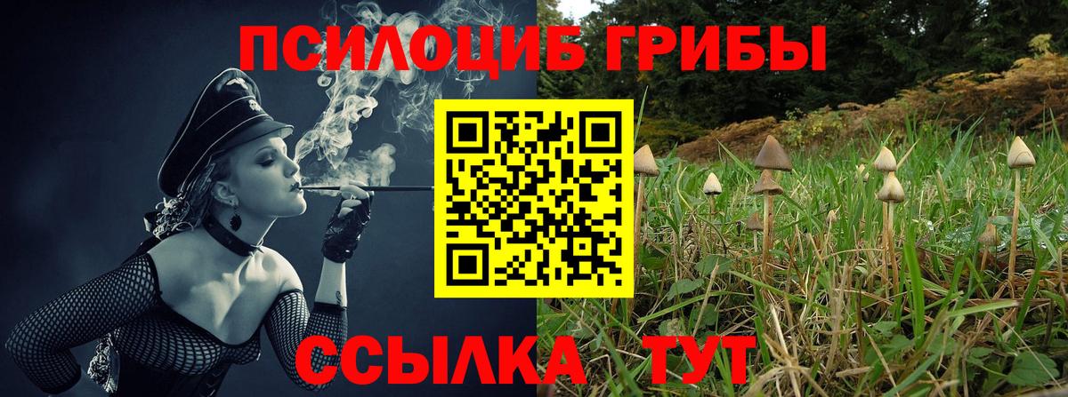 Саяногорск  Псилоцибиновые грибы MAGIC MUSHROOMS  Вход с VPN  Псилоцибиновые грибы Magic Shrooms 